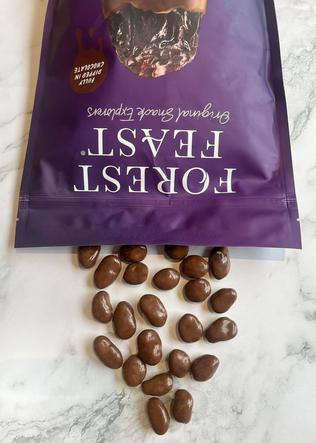 Forest Feast Belgian Milk Chocolate Jumbo Raisins - Fully Dipped Premium Snack