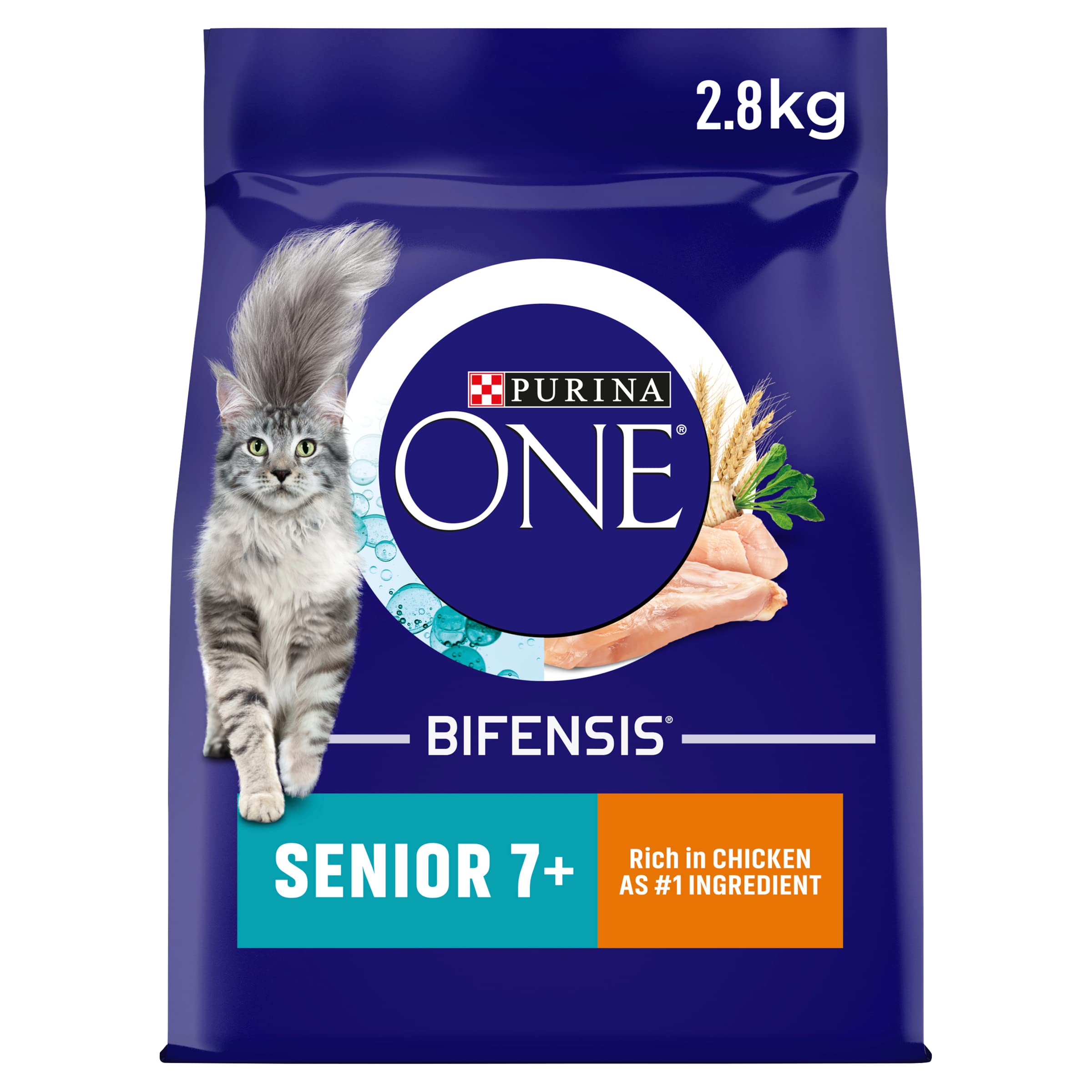 PURINA ONE Chicken Dry Cat Food 6kg