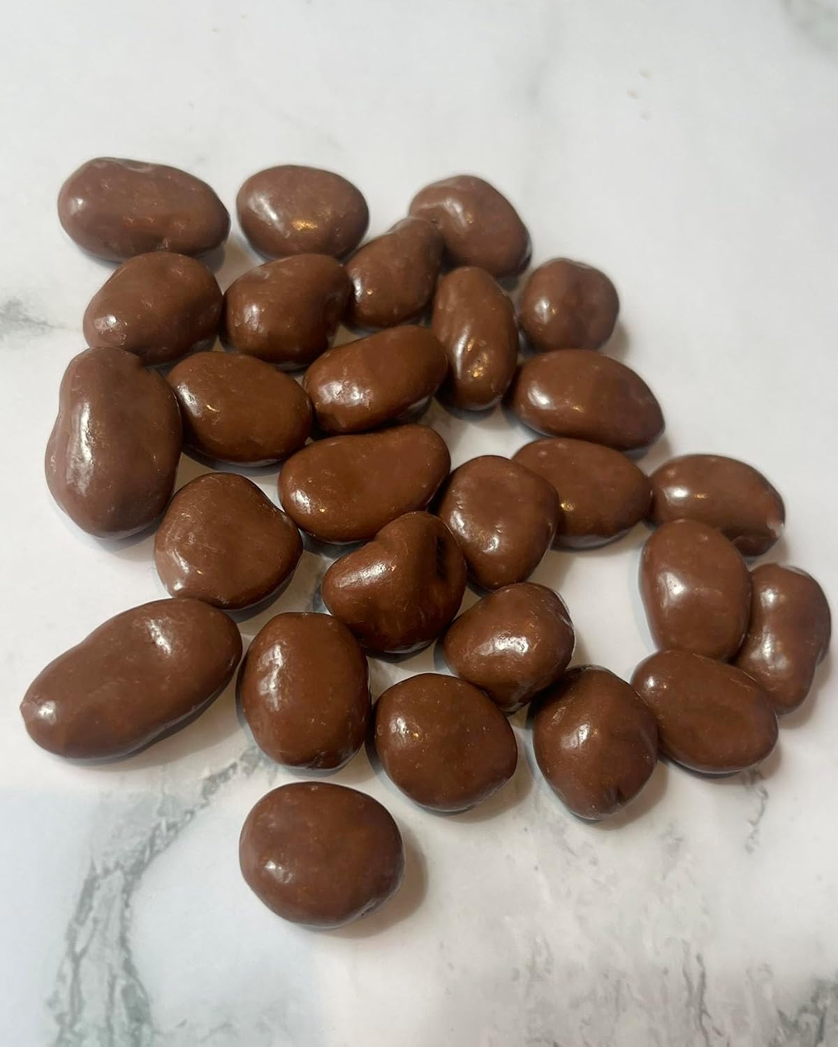 Forest Feast Belgian Milk Chocolate Jumbo Raisins - Fully Dipped Premium Snack