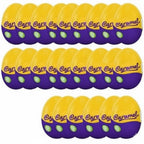 Cadbury Caramel Easter Eggs  Pack of 24 (Half Box)